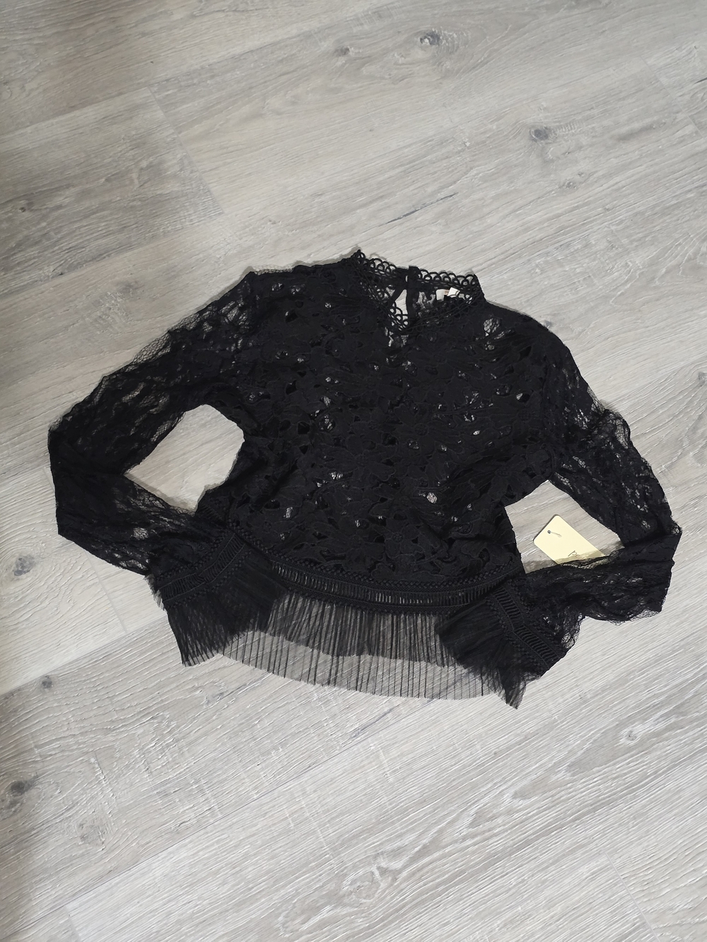 Black Sheer Lace Cropped Blouse with Pleated Hem